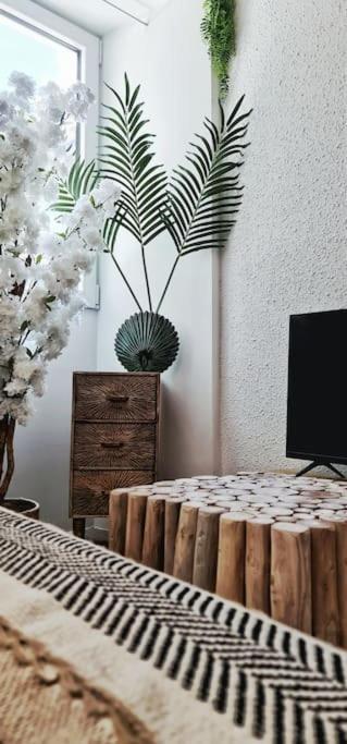 #new#terrasse Sud Ouest#pied De La Cité #1 Apartamento