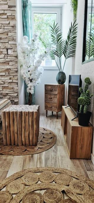 #new#terrasse Sud Ouest#pied De La Cite #1